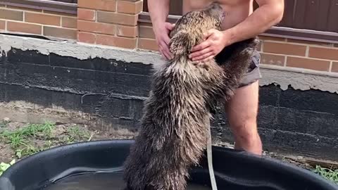 This man shows unconditional love to his bear