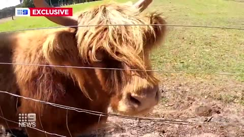 A family-favourite southwest tourist attraction is at risk of closing down over a water stoush with