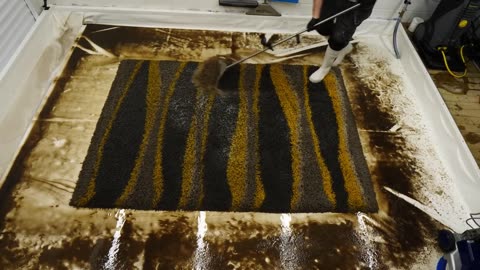 Rug Cleaning satisfying short varsion.