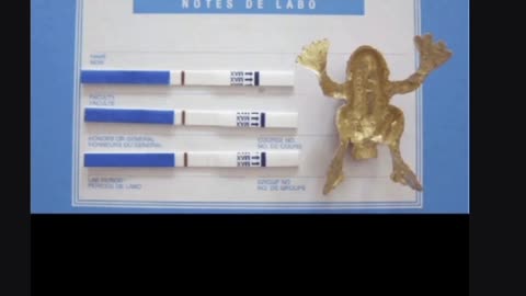 They Used Frogs As Pregnancy tests!