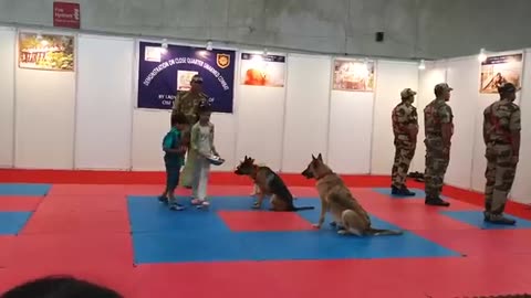 CISF demonstration of dog squad