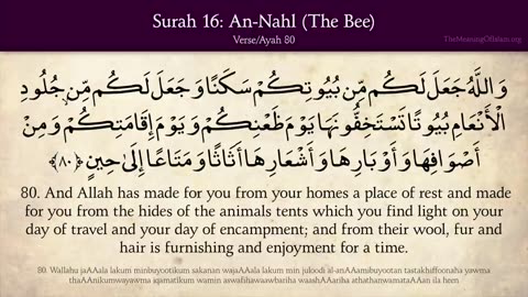 Quran: 16. Surat An-Nahl (The Bee): Arabic and English translation HD