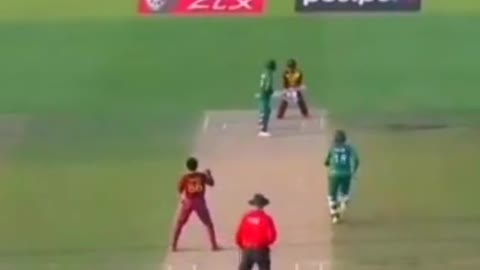 fans-video cricket lovers-video #cricket #cricketlover