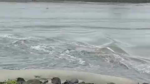 TSUNAMI Alert As Water Is Literally Draining Out Of Ventura Harbor.