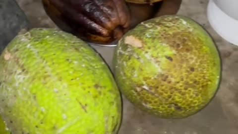 Local Abundance at Earthship Puerto Rico