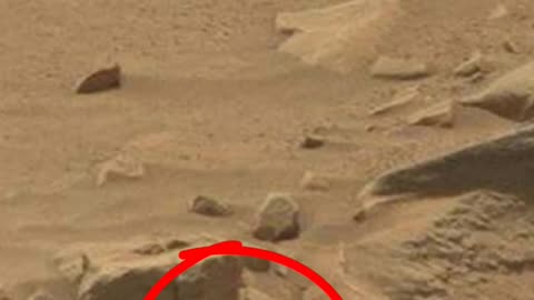 Quotexnasa1 Mars Rover Curiosity