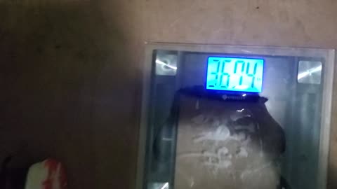 Weigh-In Jan 24, 2024