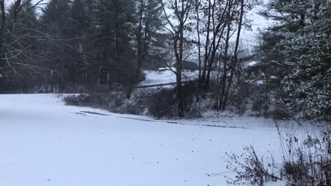 Gentle Snowfall on the Homestead