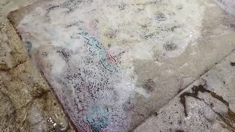 Extremely dirty carpet cleaning satisfying rug cleaning ASMR