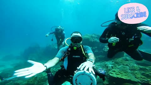 Scuba Diving In Dangerous Ocean