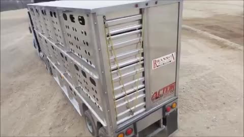 Miniature semi truck and cattle pot trailer for sale