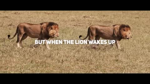 Lion Mentality | "WHAT IF?" Motivational Speech