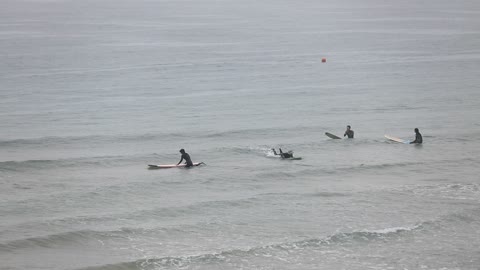 The Sea and the Surfer