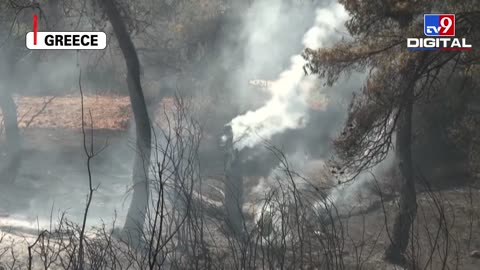 Scary wildfires spread across Turkey, Oregon and Greece