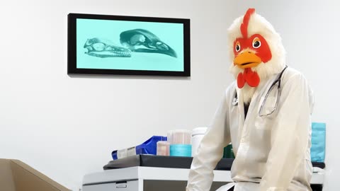 Doctor chicken