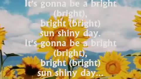 LOVE SONG I Van see clearly now 🎙️Jimmy Cliff