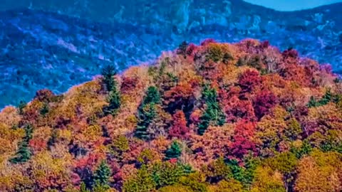 Wild River Rhine | Free Documentary Nature