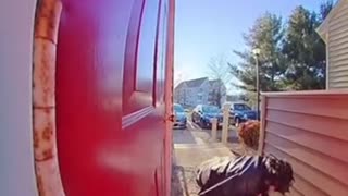 Guy Stumbles and Knocks His Head Hard