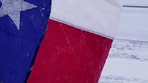 Frozen Texas flag dances in the wind (slowmo)