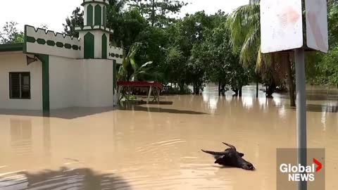 Tropical Storm Nalgae hits Philippines, kills 72 at least