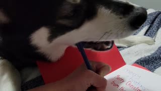 Molson signing his Christmas card