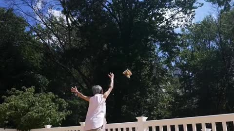 Grilling Grandma Lamb Chops