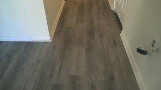 378 sq ft of Mannington Adura Rigid, Aspen color Drift nbr RGP081 in a Condo living room.