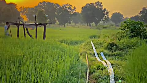 किसान की जिंदगी 🌾🌱💪 #किसानपुत्र #किसान #viralreels #viral #video #view