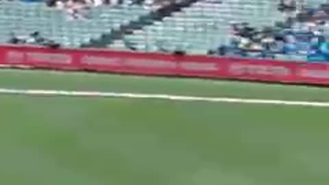 Best catches ever in cricket