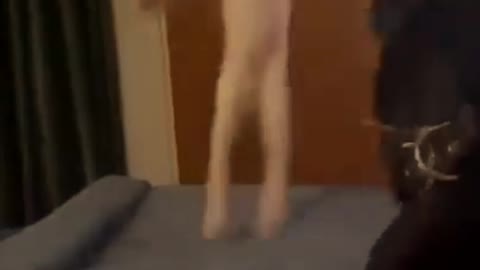 funny cat dancing