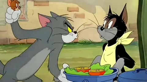 Tom Jerry Masti video