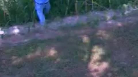 Unexpected Trail Cam Video #trailcam