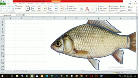 How to make a fish like macro's button | Excel 2023