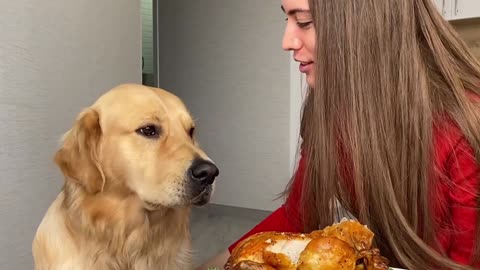 Leaving My Dog And Cat Alone With A Whole Chicken