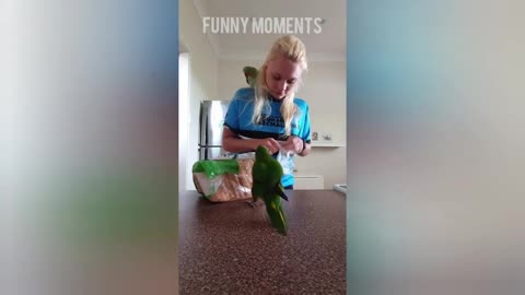 Smart And Funny Parrots