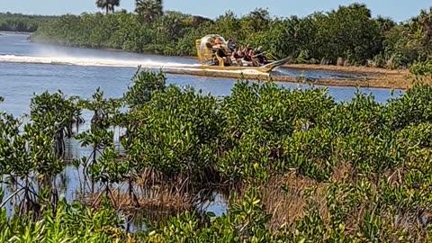 God's perfect timing in saving this country. 2/9/24 Naples, Florida