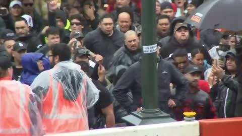 New Zealand natives Maori perform sacred Haka dance Parliament House Wellington