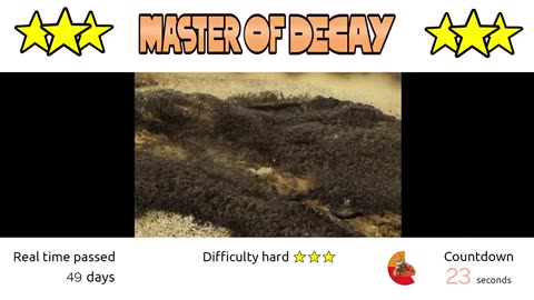 Master of Decay Time Lapse Video Quiz 02