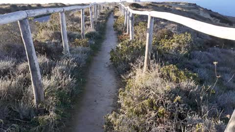 Walking back in the footpath