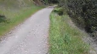 hiking video