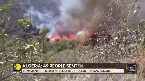 WION Climate Tracker: Algeria sentences 49 people to death over forest fire mob lynching