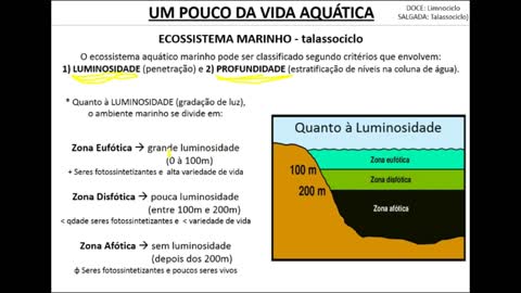 Bioma Aquático - MinhaEscolaWeb