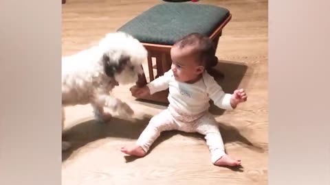 Best video of cute babies and pets-funny baby and pet