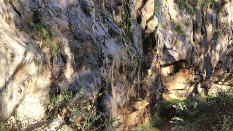 Wonderful waterfall and wattles in the Australian bush