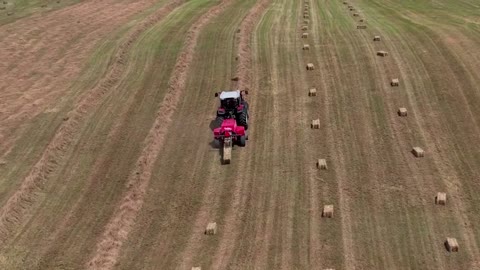 N. Zealand farmers turn away from Ardern's party