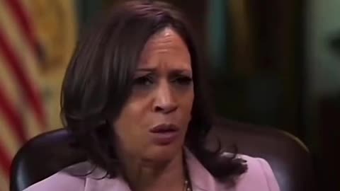 Kamala: We Can't Have Voter ID Because Rural Communities Don't Have Xerox Machines