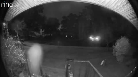 Caught on my Ring doorbell camera