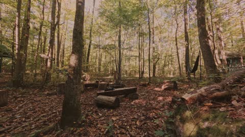 Crazy Time Lapse Video of People in the Woods.