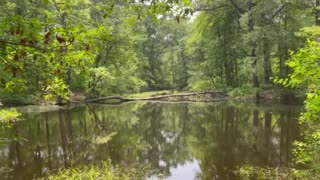 Hiking in East Texas!! Peaceful