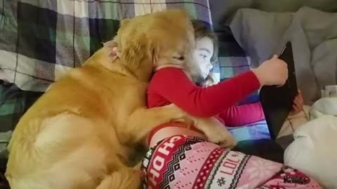 Best video of Cute Babies and Pets - Funny Baby and Pet